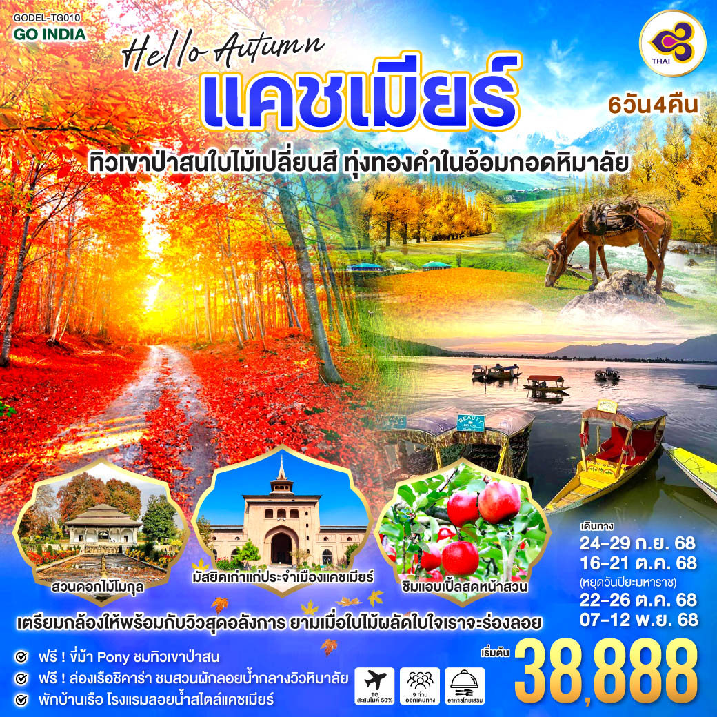 ทัวร์อินเดีย HELLO, AUTUMN KASHMIR ทิวเขาป่าสนใบไม้เปลี่ยนสี ทุ่งทองคำในอ้อมกอดหิมาลัย 6วัน 4คืน  (TG)